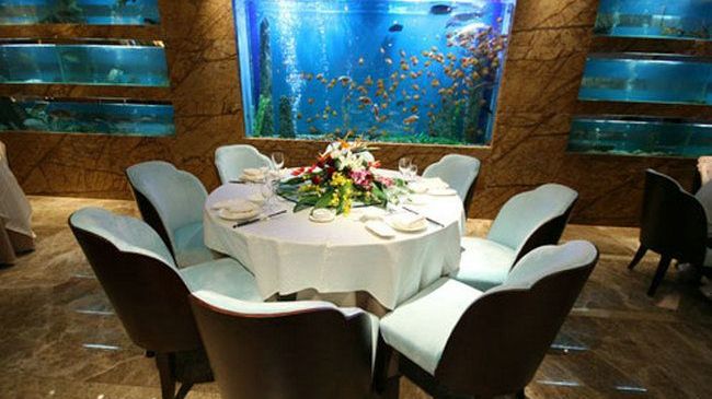 Four Seasons Rayli Hotel Ningbo Restaurante foto